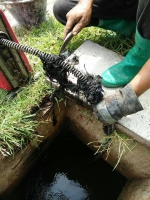 29.jpg - รับลอกท่อ ทะลวงท่อตันทุกชนิด ไม่ต้องทุบ ไม่ต้องรื้อ ให้คำปรึกษาฟรี | https://ท่อตันอุทัยธานี.com